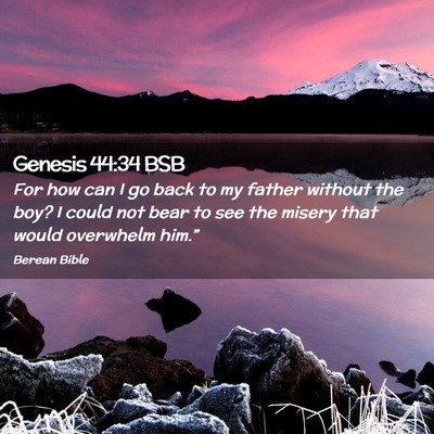Picture 02 - Genesis 44:34 BSB - For how can I go back to my father without the - Bible Verse Picture