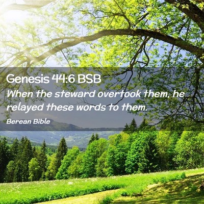 Picture 02 - Genesis 44:6 BSB - When the steward overtook them, he relayed these - Bible Verse Picture