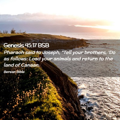 Picture 02 - Genesis 45:17 BSB - Pharaoh said to Joseph, “Tell your brothers, - Bible Verse Picture