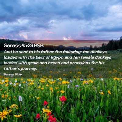 Picture 02 - Genesis 45:23 BSB - And he sent to his father the following: ten - Bible Verse Picture