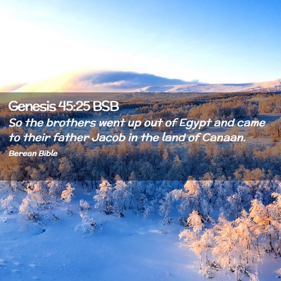 Picture 02 - Genesis 45:25 BSB - So the brothers went up out of Egypt and came to - Bible Verse Picture