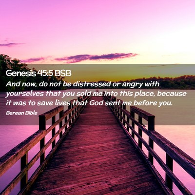 Picture 02 - Genesis 45:5 BSB - And now, do not be distressed or angry with - Bible Verse Picture