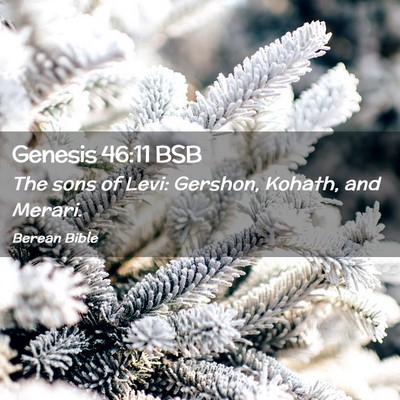 Picture 02 - Genesis 46:11 BSB - The sons of Levi: Gershon, Kohath, and - Bible Verse Picture