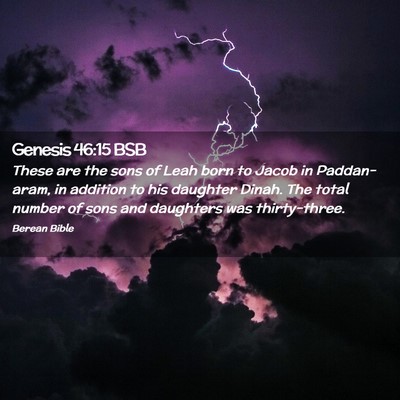 Picture 02 - Genesis 46:15 BSB - These are the sons of Leah born to Jacob in - Bible Verse Picture