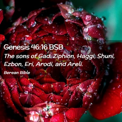 Picture 02 - Genesis 46:16 BSB - The sons of Gad: Ziphion, Haggi, Shuni, Ezbon, - Bible Verse Picture