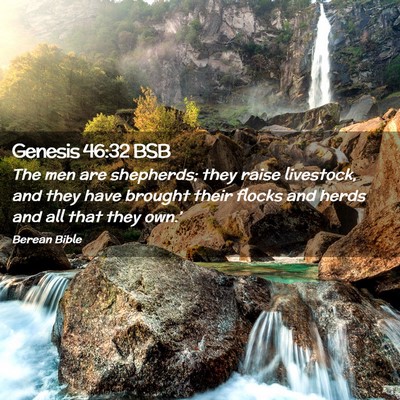 Picture 02 - Genesis 46:32 BSB - The men are shepherds; they raise livestock, and - Bible Verse Picture