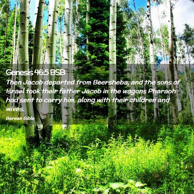 Picture 02 - Genesis 46:5 BSB - Then Jacob departed from Beersheba, and the sons - Bible Verse Picture
