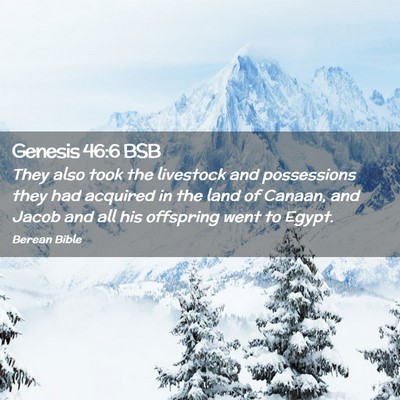 Picture 02 - Genesis 46:6 BSB - They also took the livestock and possessions they - Bible Verse Picture