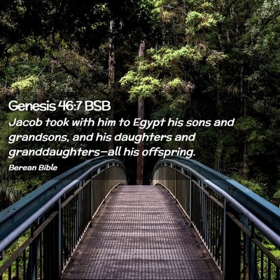 Picture 02 - Genesis 46:7 BSB - Jacob took with him to Egypt his sons and - Bible Verse Picture
