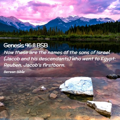 Picture 02 - Genesis 46:8 BSB - Now these are the names of the sons of Israel - Bible Verse Picture
