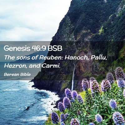 Picture 02 - Genesis 46:9 BSB - The sons of Reuben: Hanoch, Pallu, Hezron, and - Bible Verse Picture