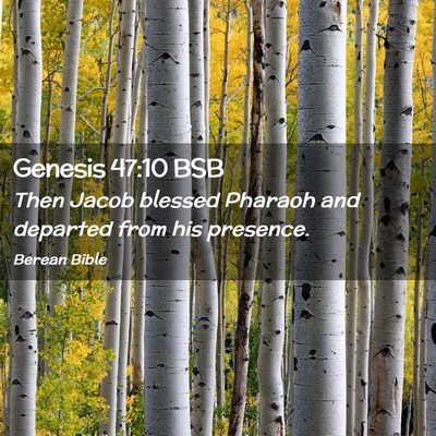 Picture 02 - Genesis 47:10 BSB - Then Jacob blessed Pharaoh and departed from his - Bible Verse Picture