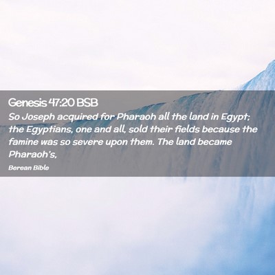 Picture 02 - Genesis 47:20 BSB - So Joseph acquired for Pharaoh all the land in - Bible Verse Picture