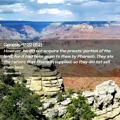 Picture 02 - Genesis 47:22 BSB - However, he did not acquire the priests’ - Bible Verse Picture