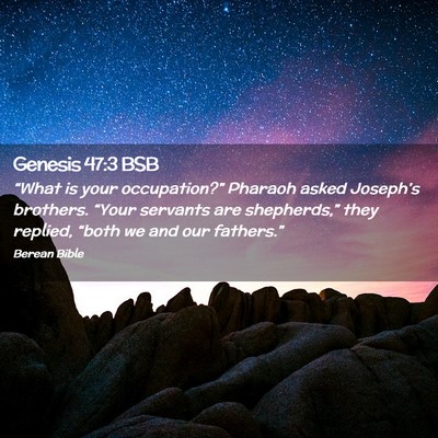 Picture 02 - Genesis 47:3 BSB - “What is your occupation?” Pharaoh asked - Bible Verse Picture