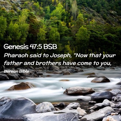 Picture 02 - Genesis 47:5 BSB - Pharaoh said to Joseph, “Now that your father - Bible Verse Picture