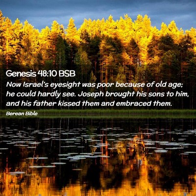 Picture 02 - Genesis 48:10 BSB - Now Israel’s eyesight was poor because of old - Bible Verse Picture