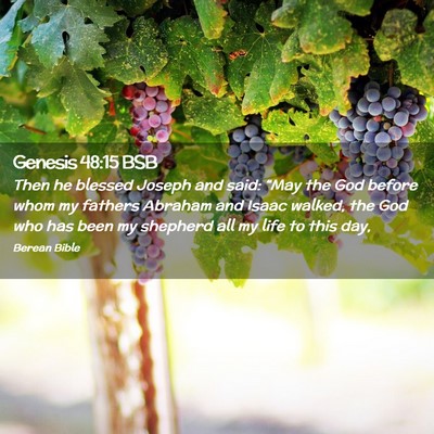 Picture 02 - Genesis 48:15 BSB - Then he blessed Joseph and said: “May the God - Bible Verse Picture
