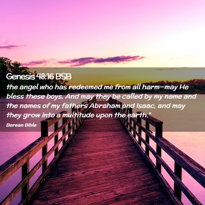 Picture 02 - Genesis 48:16 BSB - the angel who has redeemed me from all harm—may - Bible Verse Picture
