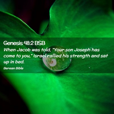 Picture 02 - Genesis 48:2 BSB - When Jacob was told, “Your son Joseph has come - Bible Verse Picture
