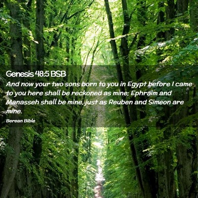 Picture 02 - Genesis 48:5 BSB - And now your two sons born to you in Egypt before - Bible Verse Picture