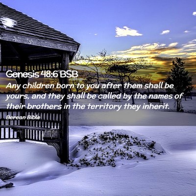 Picture 02 - Genesis 48:6 BSB - Any children born to you after them shall be - Bible Verse Picture