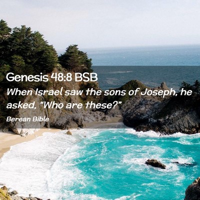 Picture 02 - Genesis 48:8 BSB - When Israel saw the sons of Joseph, he asked, - Bible Verse Picture