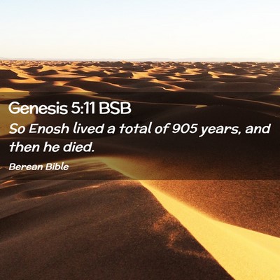 Picture 02 - Genesis 5:11 BSB - So Enosh lived a total of 905 years, and then he - Bible Verse Picture