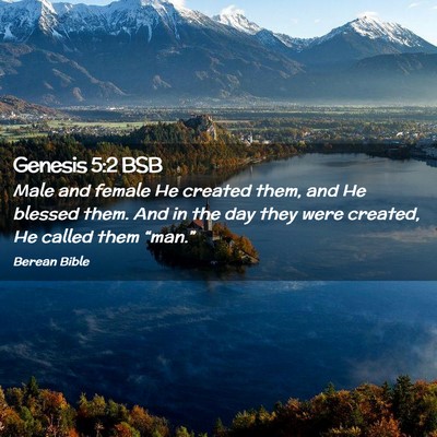Picture 02 - Genesis 5:2 BSB - Male and female He created them, and He blessed - Bible Verse Picture