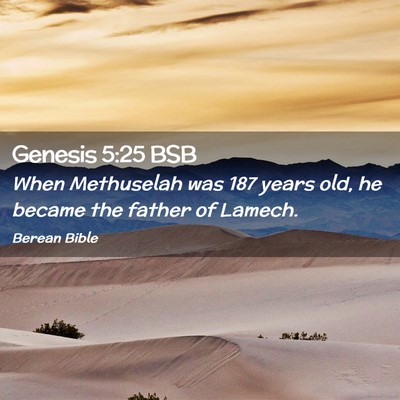 Picture 02 - Genesis 5:25 BSB - When Methuselah was 187 years old, he became the - Bible Verse Picture