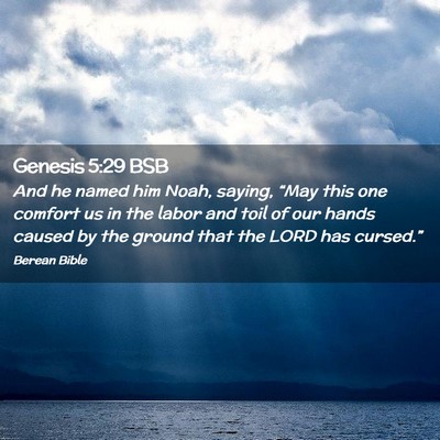 Picture 02 - Genesis 5:29 BSB - And he named him Noah, saying, “May this one - Bible Verse Picture