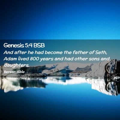 Picture 02 - Genesis 5:4 BSB - And after he had become the father of Seth, Adam - Bible Verse Picture