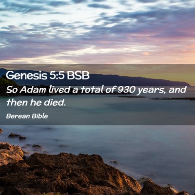 Picture 02 - Genesis 5:5 BSB - So Adam lived a total of 930 years, and then he - Bible Verse Picture