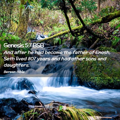 Picture 02 - Genesis 5:7 BSB - And after he had become the father of Enosh, Seth - Bible Verse Picture