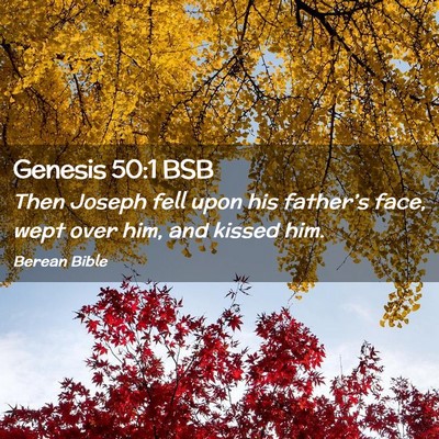 Picture 02 - Genesis 50:1 BSB - Then Joseph fell upon his father’s face, wept - Bible Verse Picture