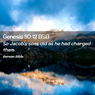 Picture 02 - Genesis 50:12 BSB - So Jacob’s sons did as he had charged - Bible Verse Picture