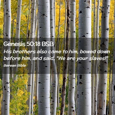 Picture 02 - Genesis 50:18 BSB - His brothers also came to him, bowed down before - Bible Verse Picture