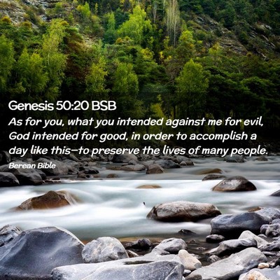 Picture 02 - Genesis 50:20 BSB - As for you, what you intended against me for - Bible Verse Picture