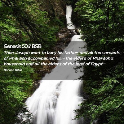Picture 02 - Genesis 50:7 BSB - Then Joseph went to bury his father, and all the - Bible Verse Picture