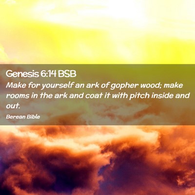 Picture 02 - Genesis 6:14 BSB - Make for yourself an ark of gopher wood; make - Bible Verse Picture