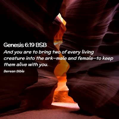 Picture 02 - Genesis 6:19 BSB - And you are to bring two of every living creature - Bible Verse Picture