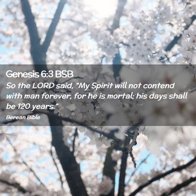 Picture 02 - Genesis 6:3 BSB - So the LORD said, “My Spirit will not contend - Bible Verse Picture