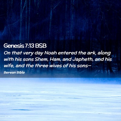 Picture 02 - Genesis 7:13 BSB - On that very day Noah entered the ark, along with - Bible Verse Picture
