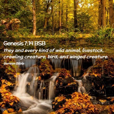 Picture 02 - Genesis 7:14 BSB - they and every kind of wild animal, livestock, - Bible Verse Picture