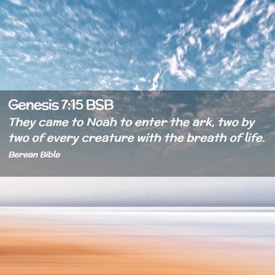 Picture 02 - Genesis 7:15 BSB - They came to Noah to enter the ark, two by two of - Bible Verse Picture