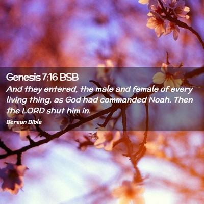 Picture 02 - Genesis 7:16 BSB - And they entered, the male and female of every - Bible Verse Picture