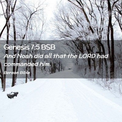 Picture 02 - Genesis 7:5 BSB - And Noah did all that the LORD had commanded - Bible Verse Picture