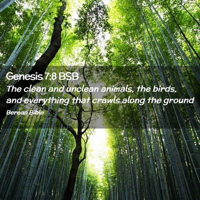 Picture 02 - Genesis 7:8 BSB - The clean and unclean animals, the birds, and - Bible Verse Picture