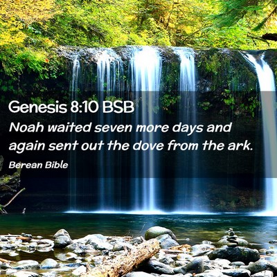 Picture 02 - Genesis 8:10 BSB - Noah waited seven more days and again sent out - Bible Verse Picture
