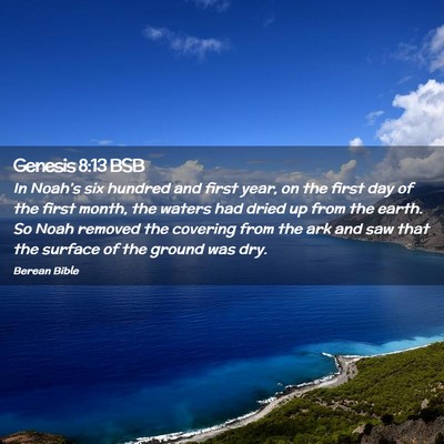 Picture 02 - Genesis 8:13 BSB - In Noah’s six hundred and first year, on the - Bible Verse Picture